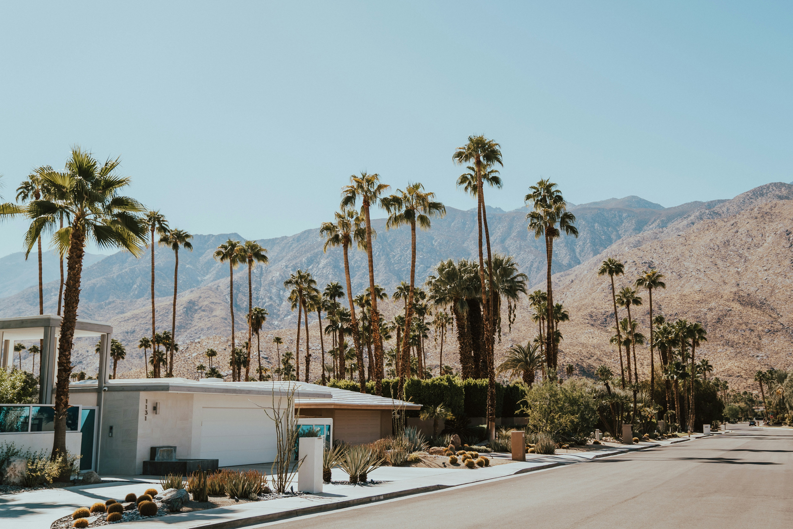 Mid-century Palm Springs street lined with palm trees and desert mountains