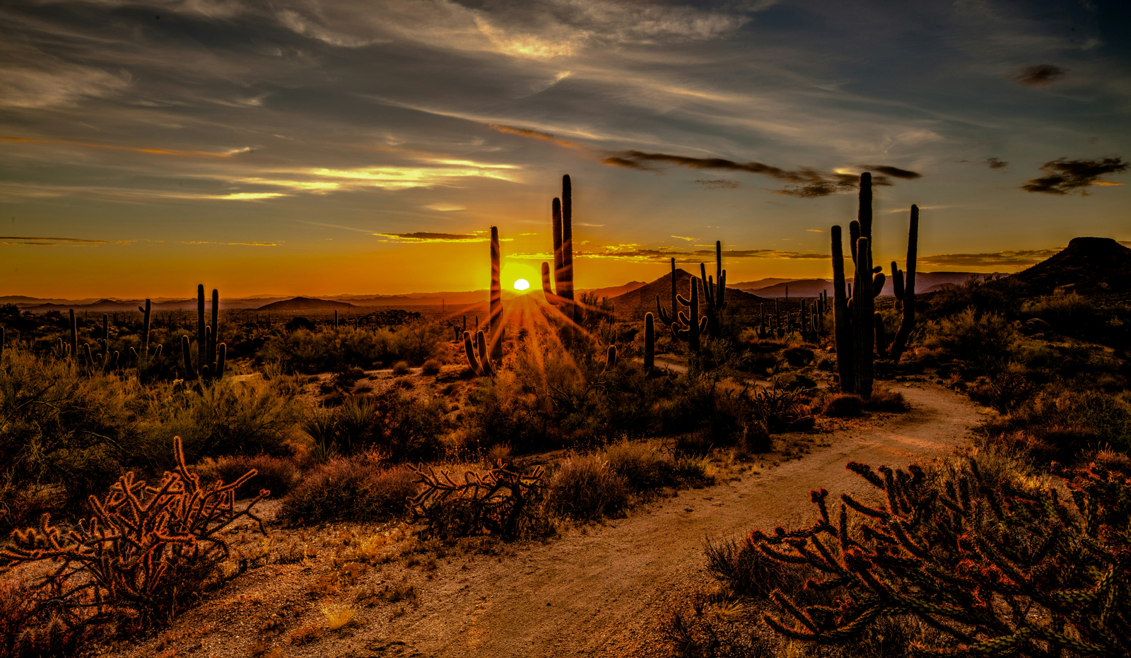 Desert sunset over cacti and mountains near Scottsdale, Arizona